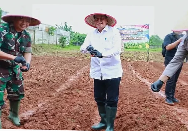 Bupati Tangerang dan Forkopimda Tanam Jagung Hibrida Perkuat Ketahanan Pangan