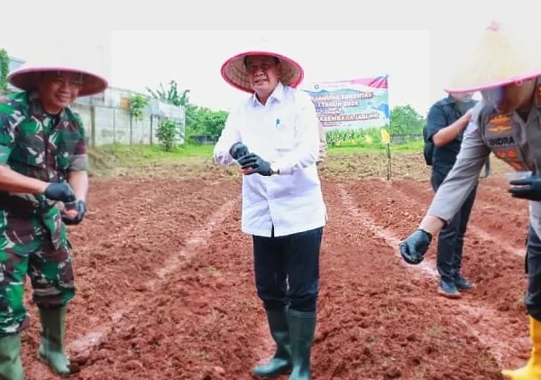 Bupati Tangerang dan Forkopimda Tanam Jagung Hibrida Perkuat Ketahanan Pangan