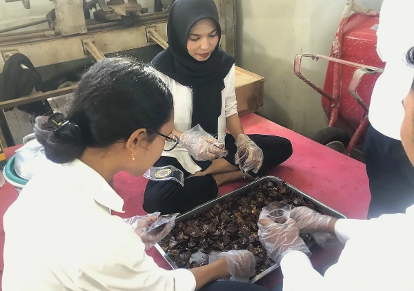 Warga Binaan Lapas Ambon Kembangkan Keripik Pisang Aneka Rasa Bersama Peserta Magang