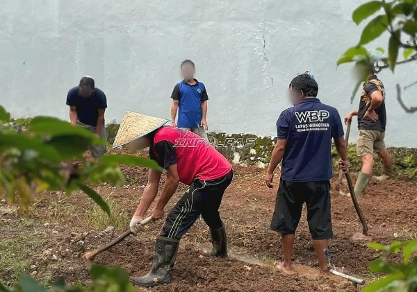 Lapas Narkotika Karang Intan Libatkan Warga Binaan Garap Lahan Kangkung