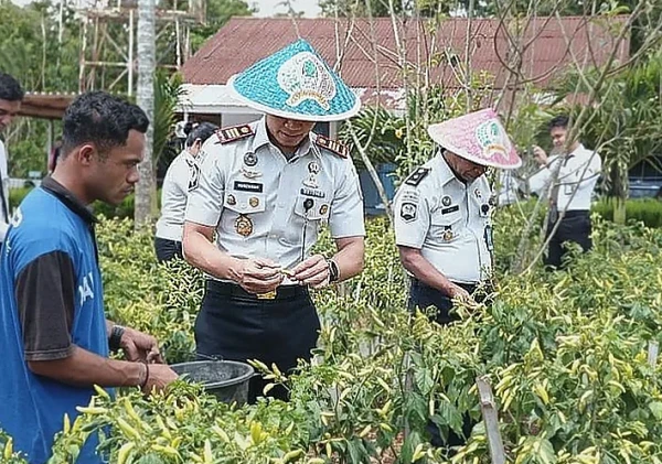 Rutan SoE Panen Sawi dan Cabai, Bekali Warga Binaan Keterampilan Pertanian