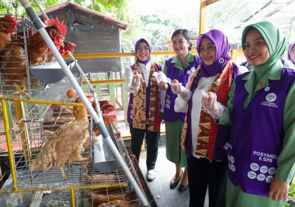 Ketua Tim Pembina Posyandu Provinsi Banten Tekankan Peran Posyandu dalam Pelayanan Kesehatan