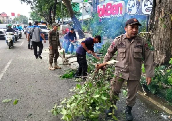 Pohon Tumbang di Jalan Gatot Subroto, Satgas Jatiuwung Bergerak Cepat Amankan Akses Jalan