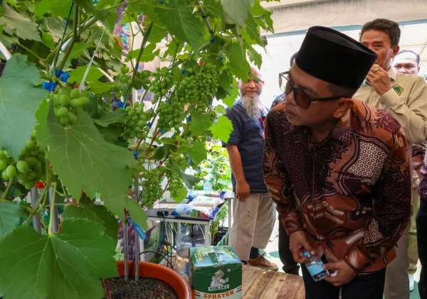 Gubernur Andra Soni Dorong Petani dan Nelayan Banten Kuasai Teknologi untuk Ketahanan Pangan