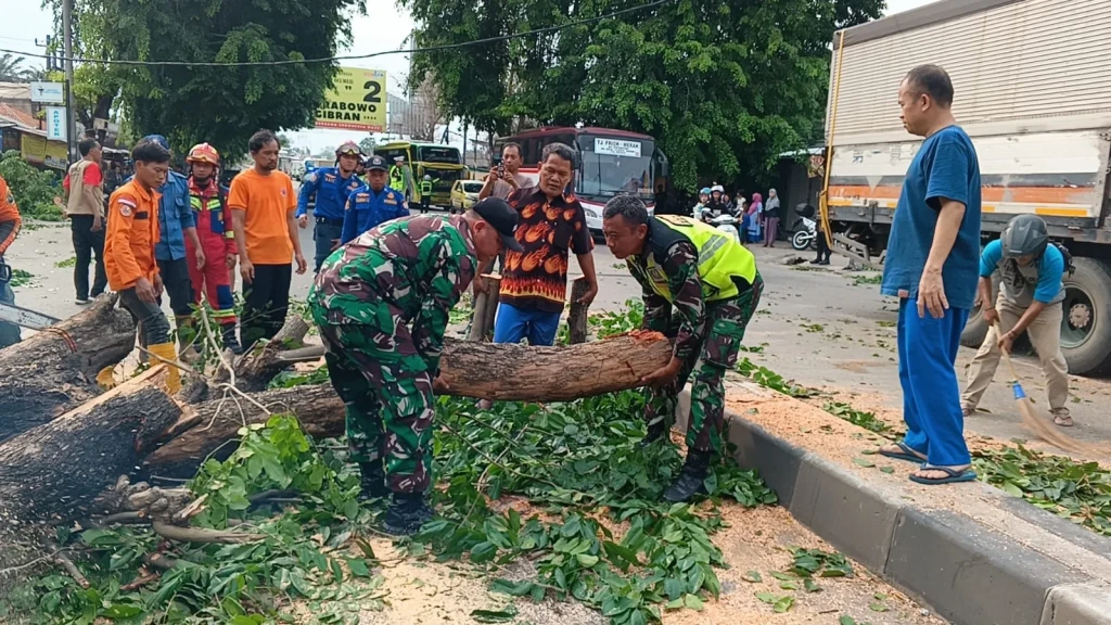 Pohon Tumbang, Danramil 0602-05/CIpocok Jaya Dan Babinsa Gerak Cepat Bantu Evakuasi