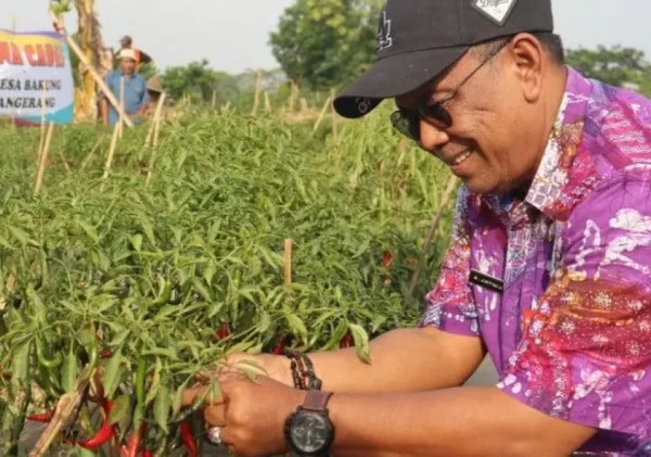 Komitmen DPKP Kabupaten Tangerang Jaga Inflasi Tetap Terkendali Melalui Program Gercep