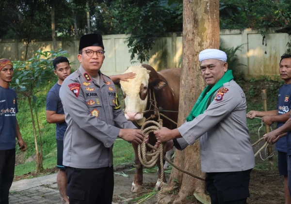 Kapolda Banten Irjen Pol. Abdul Karim Memimpin Pemotongan 85 Hewan Qurban untuk Idul Adha 1444 H